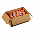 Flavored Liquid Non-Dairy Coffee Creamer, Hazelnut, 0.44 oz Mini Cups, 192/Carton (UPC0256100)