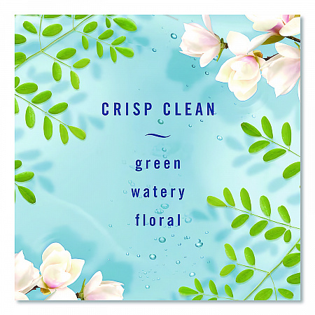 AIR, Crisp Clean, 8.8 oz Aerosol Spray, 2/Pack (97806)