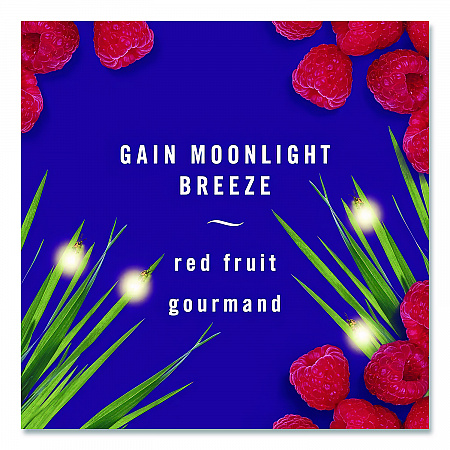 AIR, Gain Moonlight Breeze, 8.8 oz Aerosol Spray, 2/Pack (97809)