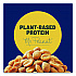 Honey Roasted Peanuts, 2.5 oz Tube, 15/Box (01652)