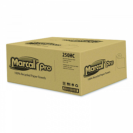 100% Premium Recycled Kitchen Roll Towels, 2-Ply, 11 x 8.8, White, 12 Rolls/Carton (250HC)
