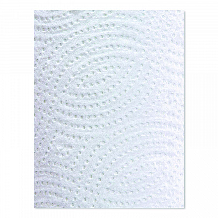 100% Premium Recycled Kitchen Roll Towels, 2-Ply, 11 x 8.8, White, 12 Rolls/Carton (250HC)