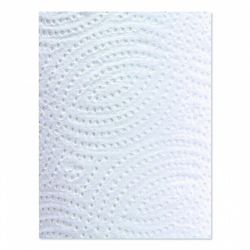 100% Premium Recycled Kitchen Roll Towels, 2-Ply, 11 x 8.8, White, 12 Rolls/Carton (250HC)