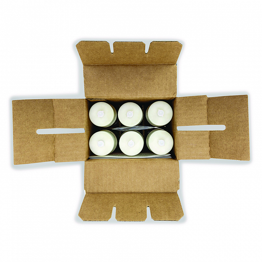 AirWorks 3.0 Passive Air Care Refill, Citrus Grove, 6/Box (AWPA231BX)