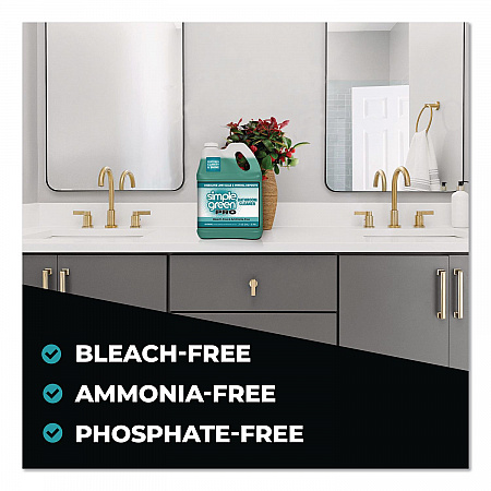Pro Bathroom Cleaner, 1 gal Bottle, 4/Carton (1751128)