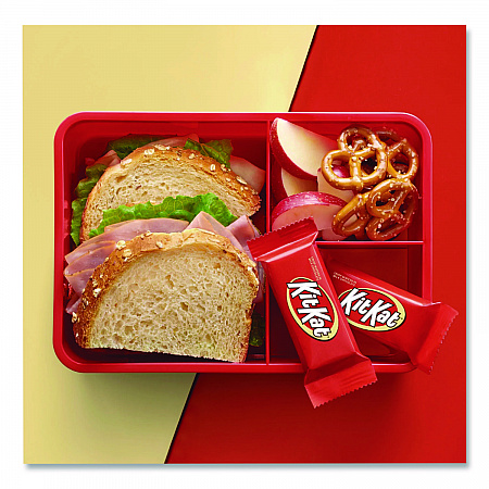 Snack Size, Crisp Wafers in Milk Chocolate, 20.1 oz Bag (24600011)