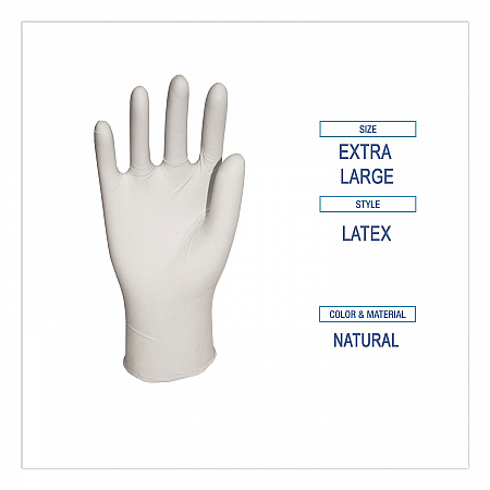 General-Purpose Latex Gloves, Powder-Free, X-Large, 4.4 mil Thick, 9.5