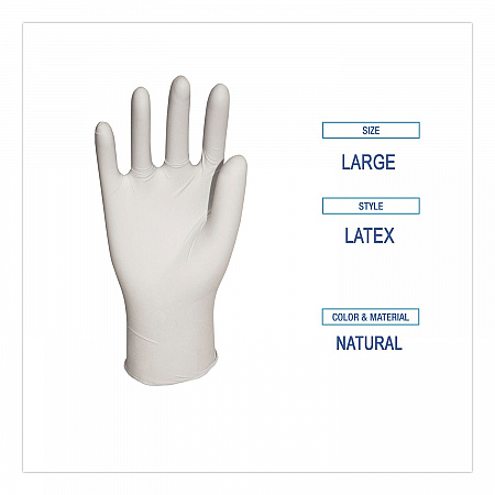 General-Purpose Latex Gloves, Powder-Free, Large, 4.4 mil Thick, 12