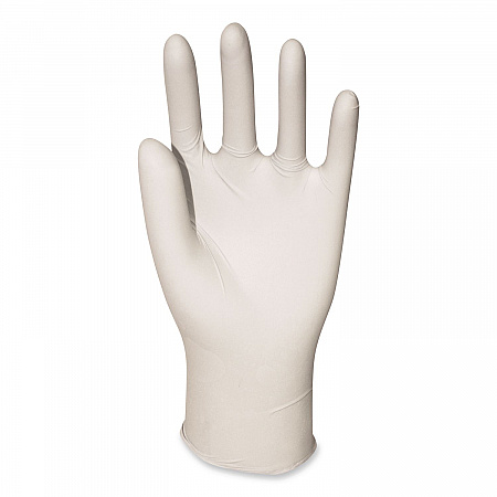 General-Purpose Latex Gloves, Powder-Free, Large, 4.4 mil Thick, 12