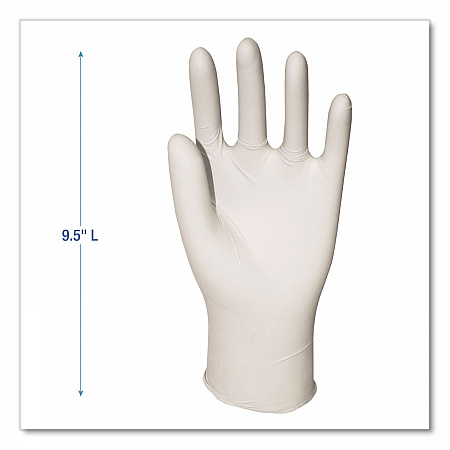 Powder-Free Synthetic Vinyl Gloves, X-Large, 4 mil Thick, 9.5
