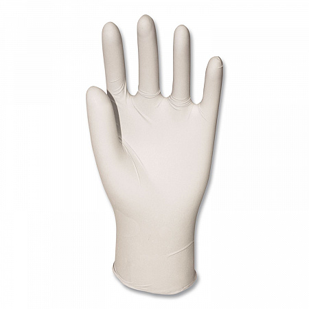 Powder-Free Synthetic Vinyl Gloves, X-Large, 4 mil Thick, 9.5