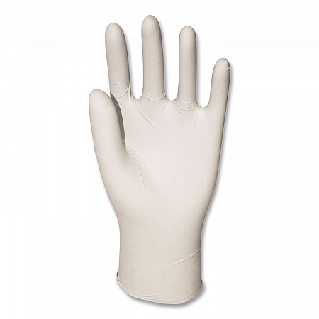 Powder-Free Synthetic Vinyl Gloves, X-Large, 4 mil Thick, 9.5