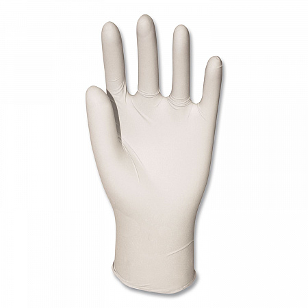 Powder-Free Synthetic Vinyl Gloves, Large, 4 mil Thick, 9.5