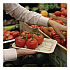 Laminated Fiber Meat and Product Trays, PLA Lined, PFAS Free, 8.3 x 4.9 x 0.7, Natural, Paper, 500/Carton (TRSC17SLLF)