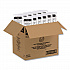 Prima Strawless Plastic Lids, Fits 30 oz to 32 oz Cold Cups, Clear, 100/Sleeve, 12 Sleeves/Carton (P3032RSL)