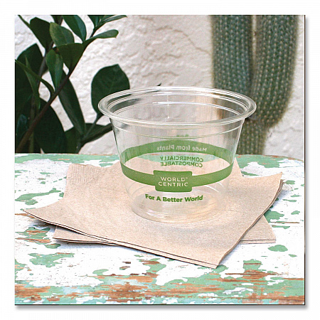 PLA Clear Cold Cups, 9 oz, Plastic, Clear, 1,000/Carton (CPCS9Q)