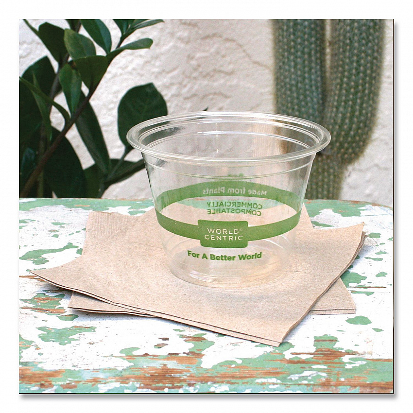 PLA Clear Cold Cups, 9 oz, Plastic, Clear, 1,000/Carton (CPCS9Q)