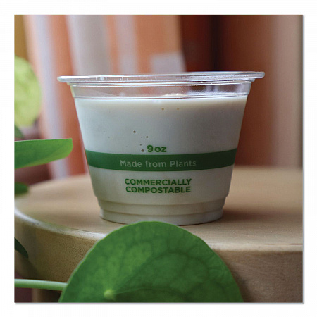 PLA Clear Cold Cups, 9 oz, Plastic, Clear, 1,000/Carton (CPCS9Q)