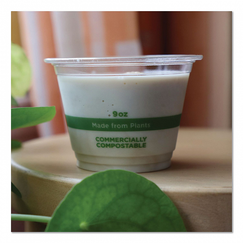PLA Clear Cold Cups, 9 oz, Plastic, Clear, 1,000/Carton (CPCS9Q)