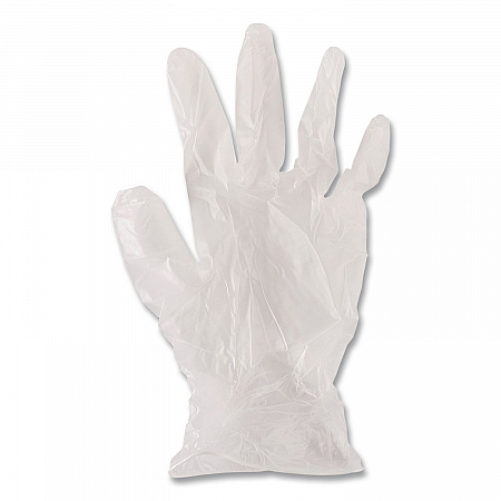 General Purpose Vinyl Gloves, Powder-Free, Large, 2.6 mil Thick, 13