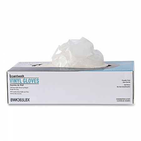 General Purpose Vinyl Gloves, Powder-Free, Large, 2.6 mil Thick, 13