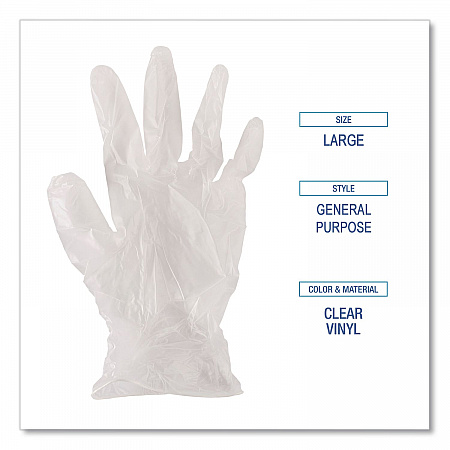 General Purpose Vinyl Gloves, Powder-Free, Large, 2.6 mil Thick, 13