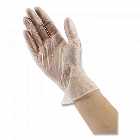 General Purpose Vinyl Gloves, Powder-Free, Large, 2.6 mil Thick, 13