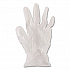 General Purpose Vinyl Gloves, Powder-Free, Large, 2.6 mil Thick, 9.5