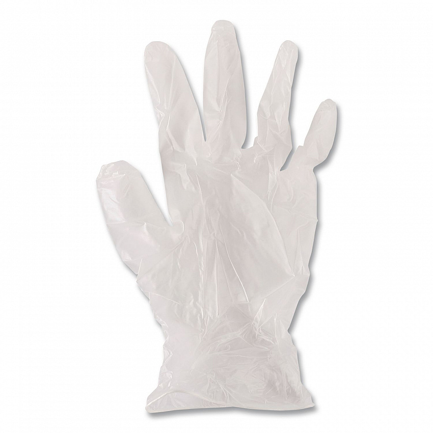 General Purpose Vinyl Gloves, Powder-Free, Large, 2.6 mil Thick, 9.5" Long, Clear, 100/Box, 10 Boxes/Carton (365LCT)