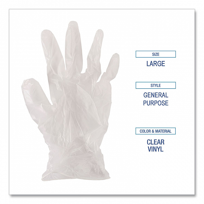 General Purpose Vinyl Gloves, Powder-Free, Large, 2.6 mil Thick, 9.5" Long, Clear, 100/Box, 10 Boxes/Carton (365LCT)