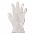 General Purpose Vinyl Gloves, Powder-Free, Medium, 2.6 mil Thick, 9.5