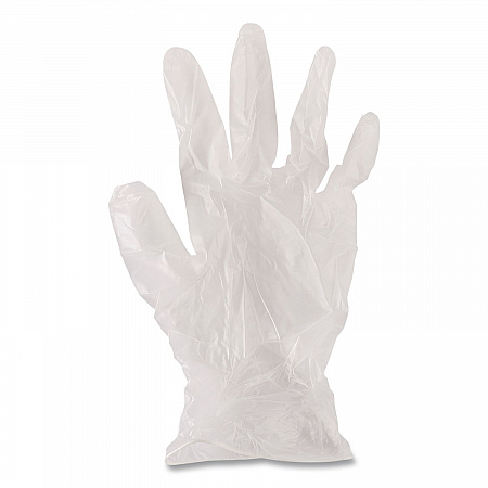 General Purpose Vinyl Gloves, Powder-Free, XX-Large, 2.6 mil Thick, 9.5