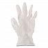 General Purpose Vinyl Gloves, Powder-Free, XX-Large, 2.6 mil Thick, 9.5