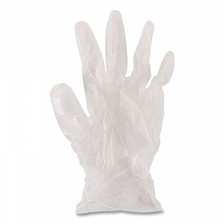 General Purpose Vinyl Gloves, Powder-Free, XX-Large, 2.6 mil Thick, 9.5