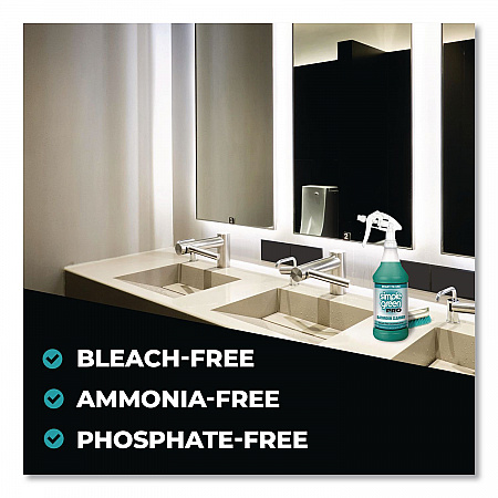 Pro Bathroom Cleaner Ready-To-Use, 32 oz Spray Bottle, 12/Carton (1751032)