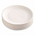 Paper Plates, 6