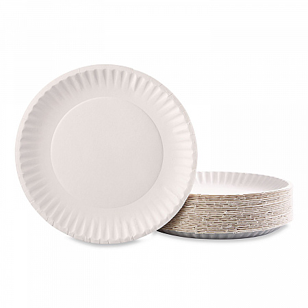 Paper Plates, 6