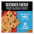 Healthy Grains Energy Peanut Butter Dark Chocolate Bars, 1.4 oz Bar, 10/Box (67075)