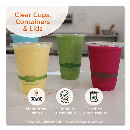 PLA Clear Cold Cup Lids, Flat Lid, Fits 9 oz to 24 oz Cold Cups, Plastic, Clear, 1,000/Carton (CPLCS12)