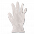 General Purpose Vinyl Gloves, Powder-Free, X-Large, 2.6 mil Thick, 9.5