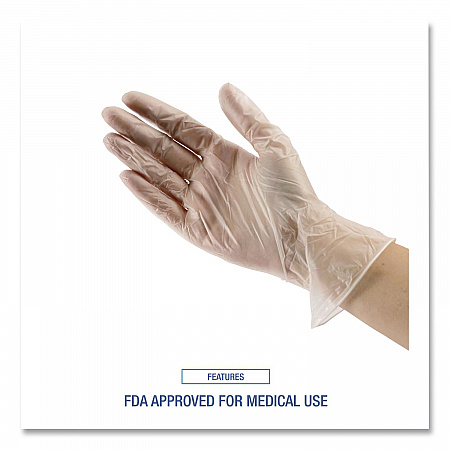 General Purpose Vinyl Gloves, Powder-Free, X-Large, 2.6 mil Thick, 9.5