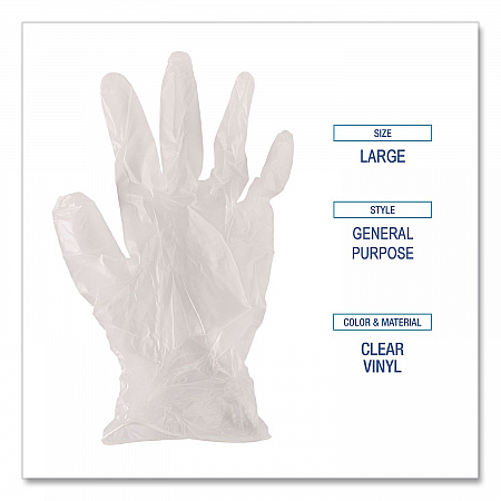 General Purpose Vinyl Gloves, Powder-Free, X-Large, 2.6 mil Thick, 9.5
