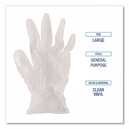 General Purpose Vinyl Gloves, Powder-Free, X-Large, 2.6 mil Thick, 9.5
