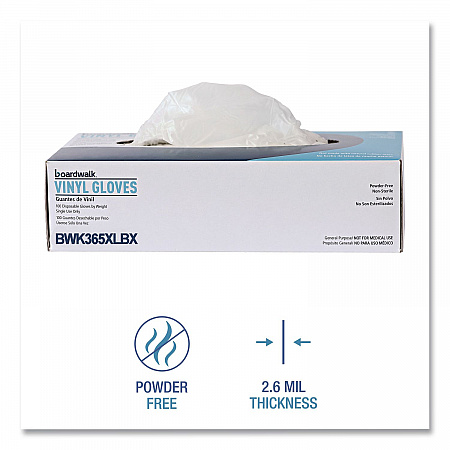 General Purpose Vinyl Gloves, Powder-Free, X-Large, 2.6 mil Thick, 9.5