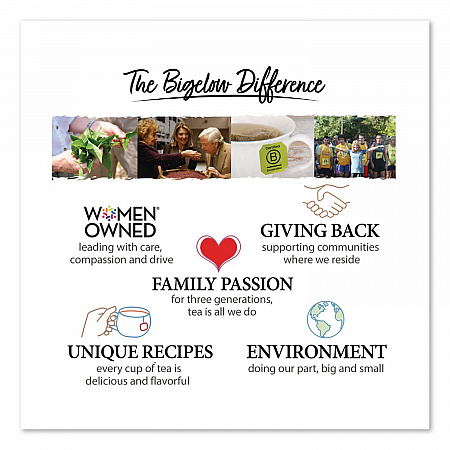 Single Flavor Tea, Premium Ceylon, 100 Bags/Box (00351)