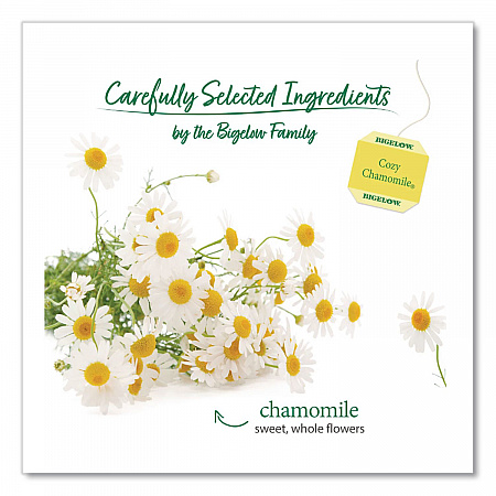Single Flavor Tea, Cozy Chamomile, 28 Bags/Box (00401)