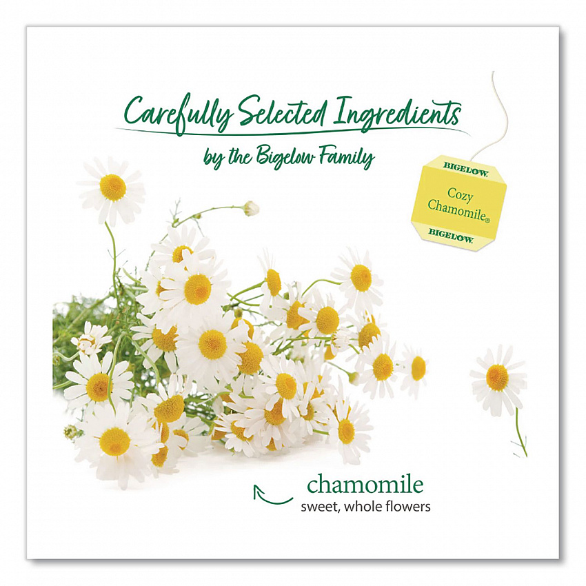 Single Flavor Tea, Cozy Chamomile, 28 Bags/Box (00401)