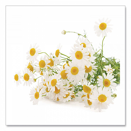 Single Flavor Tea, Cozy Chamomile, 28 Bags/Box (00401)