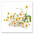 Single Flavor Tea, Cozy Chamomile, 28 Bags/Box (00401)