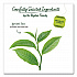 Green Tea Pods, 1.90 oz, 18/Box (007906)